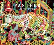 Omslag van Panther