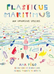 Omslag van Plasticus Maritimus An Invasive Species
