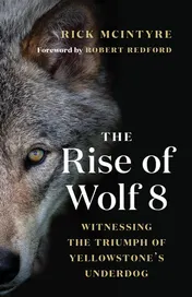 Omslag van The Rise of Wolf 8 Witnessing the Triumph of Yellowstone's Underdog