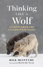 Omslag van Thinking Like a Wolf Lessons from the Yellowstone Packs