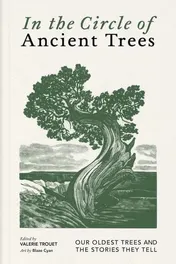 Omslag van In the Circle of Ancient Trees Our Oldest Trees and the Stories They Tell