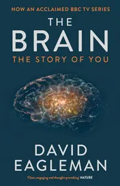 Omslag van The Brain The Story of You