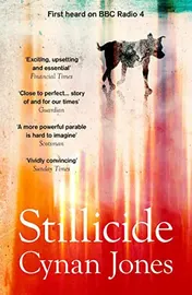 Omslag van Stillicide