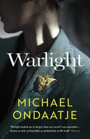 Omslag van Warlight