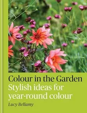 Omslag van Colour in the Garden Stylish Ideas for Year-Round Colour