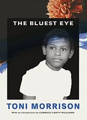Omslag van The Bluest Eye