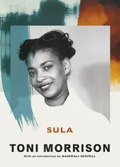 Omslag van Sula