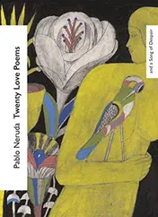 Omslag van Twenty Love Poems and a Song of Despair