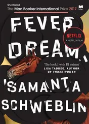 Omslag van Fever Dream