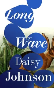 Omslag van Long Wave