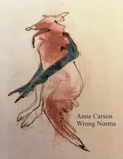 Omslag van Wrong Norma