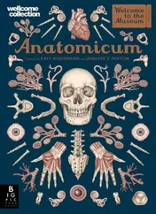 Omslag van Anatomicum Welcome to the Museum