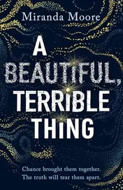 Omslag van A Beautiful, Terrible Thing