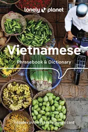 Omslag van Lonely Planet Vietnamese Phrasebook and Dictionary