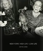 Omslag van New York: High Life / Low Life