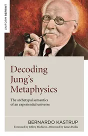 Omslag van Decoding Jung's Metaphysics The Archetypal Semantics of an Experiential Universe
