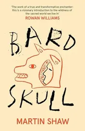 Omslag van Bardskull