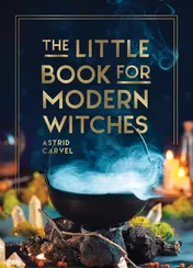 Omslag van The Little Book for Modern Witches Simple Tips, Crafts and Spells for Practising Modern Magick