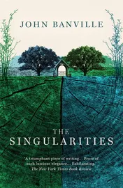 Omslag van The Singularities