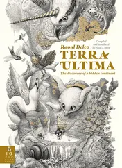 Omslag van Terra Ultima The Discovery of a New Continent