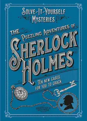 Omslag van The Puzzling Adventures of Sherlock Holmes Ten New Cases for You to Crack