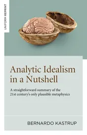 Omslag van Analytic Idealism in a Nutshell A straightforward summary of the 21st century's only plausible metaphysics