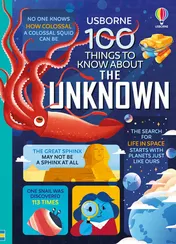 Omslag van 100 Things to Know about the Unknown