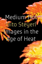 Omslag van Medium Hot Images in The Age of Heat