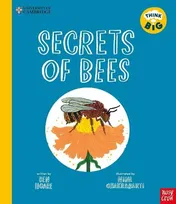 Omslag van Secrets of Bees