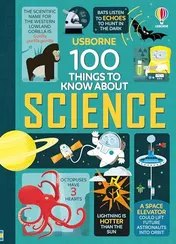 Omslag van 100 Things to Know about Science