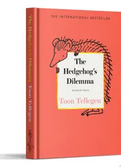Omslag van The Hedgehog’s Dilemma