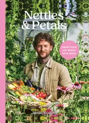 Omslag van Nettles & Petals Grow Food. Eat Weeds. Save Seeds. The Sunday Times Bestseller