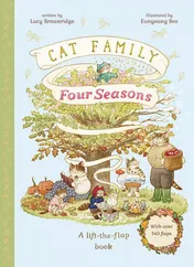 Omslag van Cat Family: Four Seasons lift-the-flap book - Lucy Brownridge