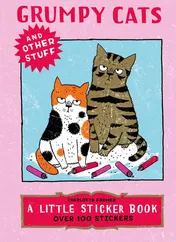 Omslag van Grumpy Cats and Other Stuff - Skittledog Little Sticker Books