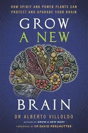 Omslag van Grow A New Brain (paperback)