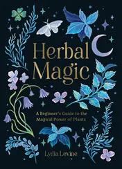 Omslag van Herbal Magic A Beginner's Guide to the Magical Power of Plants