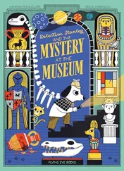 Omslag van Detective Stanley and the Mystery at the Museum