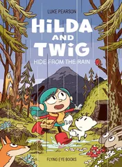 Omslag van Hilda and Twig Hide from the Rain