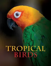 Omslag van Tropical Birds