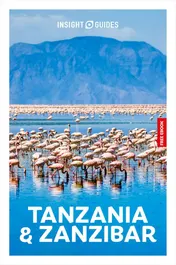 Omslag van Insight Guides Tanzania and Zanzibar: Travel Guide with EBook