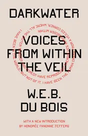 Omslag van Darkwater Voices from Within the Veil