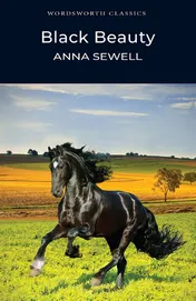 Omslag van Black Beauty
