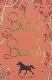 Omslag van Black Beauty