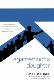 Omslag van Agamemnon's Daughter
