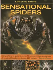 Omslag van Exploring Nature - Sensational Spiders A Comprehensive Guide to Some of the Most Intriguing Creatures in the Animal Kingdom, with Over 220 Pictures