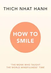 Omslag van How to Smile