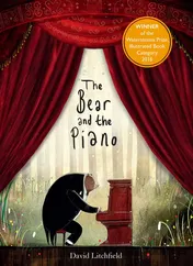 Omslag van The Bear and the Piano