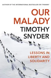 Omslag van Our Malady Lessons in Liberty and Solidarity