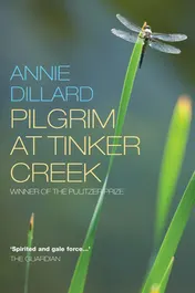 Omslag van Pilgrim at Tinker Creek