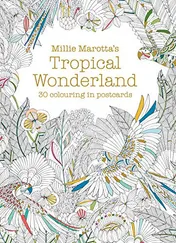 Omslag van Millie Marotta's Tropical Wonderland 30 Colouring in Postcards